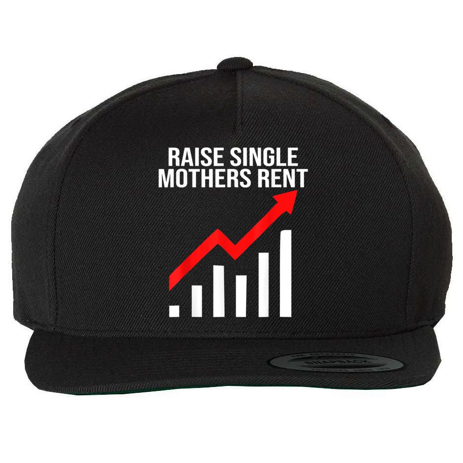 Raise Single Mothers Rent Wool Snapback Cap