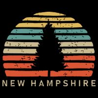 Retro Sunset New Hampshire Pine Tree 7-Panel Snapback Hat