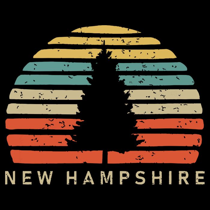 Retro Sunset New Hampshire Pine Tree Cooling Performance Long Sleeve Crew