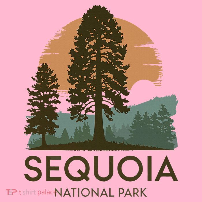 Retro Sequoia National Park Novelty Vacation Tree Minimalist Womens T-Shirt