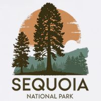 Retro Sequoia National Park Novelty Vacation Tree Minimalist Tall T-Shirt