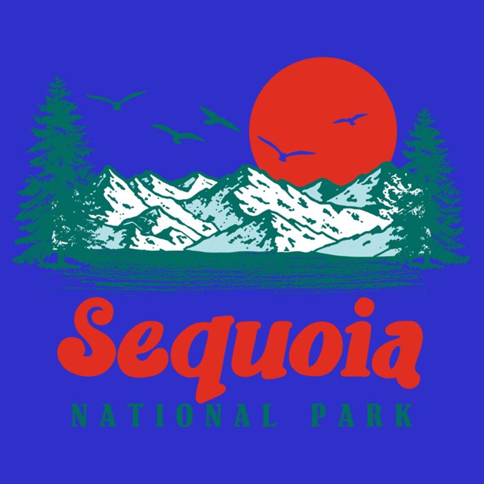 Retro Sequoia National Park Mountain Trees And Sun Graphic Gift Button
