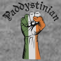 Retro Strong Paddystinian Irish Palestine Flag Toddler Sweatshirt