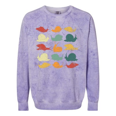 Retro Snail Colorblast Crewneck Sweatshirt