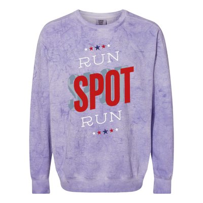 Run Spot Run Funny Debate Donald Trump 24 Kamala Colorblast Crewneck Sweatshirt