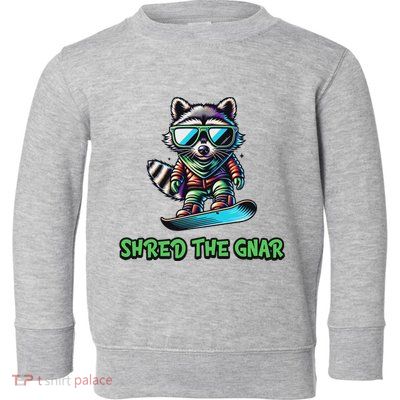 Raccoon Snowboarding Shred The Gnar Winter And Sports Toddler Sweatshirt