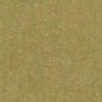 Retro Save the Bees Apiary Bee Beekeeper Earth Day Garment-Dyed Women's Muscle Tee