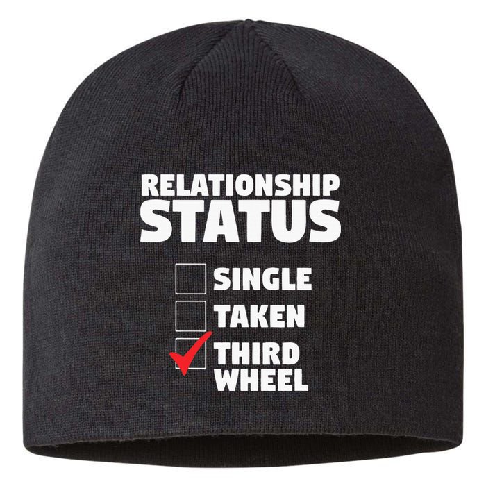 Relationship Status Third Wheel Funny Single Sustainable Beanie