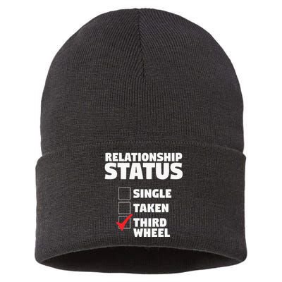 Relationship Status Third Wheel Funny Single Sustainable Knit Beanie