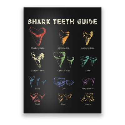 Retro Shark Teeth Guide Fossil Tooth Collector Poster