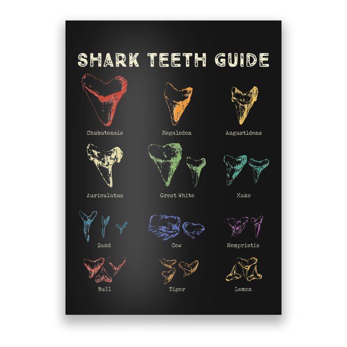 Retro Shark Teeth Guide Fossil Tooth Collector Poster