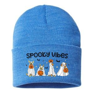 Retro Spooky Vibes Halloween Ghost Dog Funny Trick Or Treat Gift Sustainable Knit Beanie