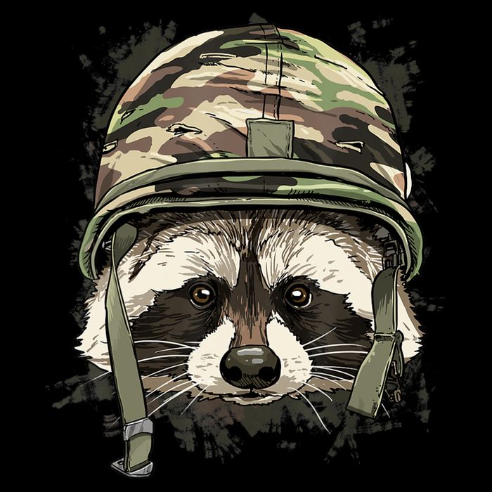 Raccoon Soldier Veteran Army Raccoon American Animal Lover Womens T-Shirt