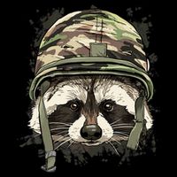 Raccoon Soldier Veteran Army Raccoon American Animal Lover Kids Hoodie