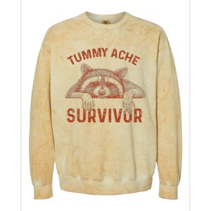 Retro Tummy Ache Survivor Funny Raccoon Colorblast Crewneck Sweatshirt