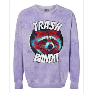 Raccoon Trash Bandit Funny Raccoon Trash Panda Colorblast Crewneck Sweatshirt