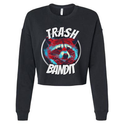 Raccoon Trash Bandit Funny Raccoon Trash Panda Cropped Pullover Crew