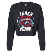Raccoon Trash Bandit Funny Raccoon Trash Panda Cropped Pullover Crew