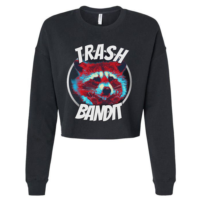 Raccoon Trash Bandit Funny Raccoon Trash Panda Cropped Pullover Crew