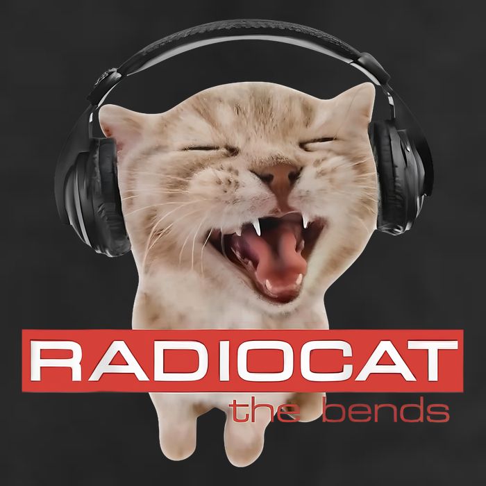 Radiocat The Bends Funny Music Cat Meme Cat Mom Cat Lover  Cool Comfort Performance Bucket Hat