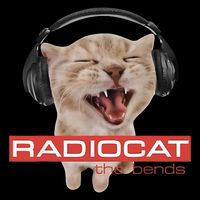 Radiocat The Bends Funny Music Cat Meme Cat Mom Cat Lover  Cooling Performance Long Sleeve Crew