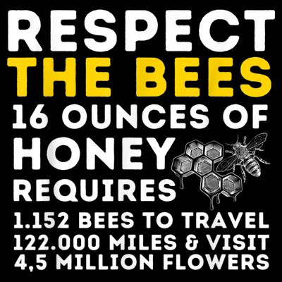 Respect The Bees Bee Lover Beekeeping & Beekeeper T-Shirt