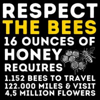 Respect The Bees Bee Lover Beekeeping & Beekeeper T-Shirt