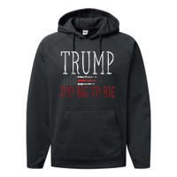 Retro Too Big To Rig Trump 2024 Quote Performance Fleece Hoodie