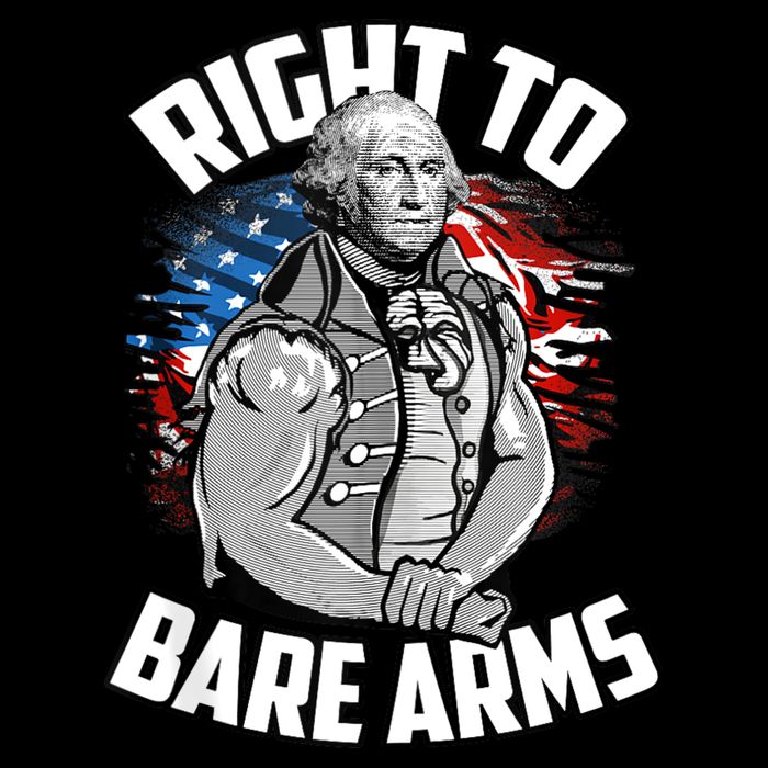 Right To Bare Arms 4th Of July Funny Gym Workout Wool Snapback Cap