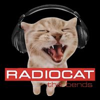 Radiocat The Bends Funny Music Cat Meme Cat Mom Cat Lover 16 in Basic Backpack