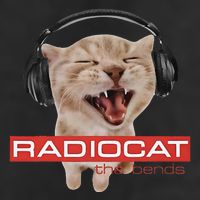 Radiocat The Bends Funny Music Cat Meme Cat Mom Cat Lover Golf Towel