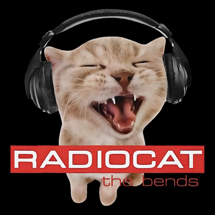 Radiocat The Bends Funny Music Cat Meme Cat Mom Cat Lover Cropped Pullover Crew