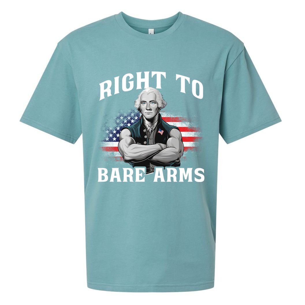 Right To Bare Arms 4th Of July Funny Gym George Washington Sueded Cloud Jersey T-Shirt