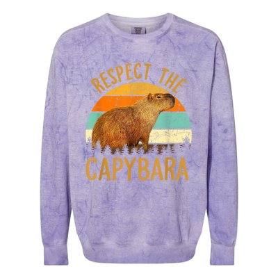 Respect The Capybara Animal Funny Capybara Lover Colorblast Crewneck Sweatshirt