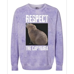 Respect The Capybara Colorblast Crewneck Sweatshirt