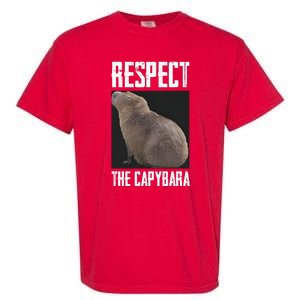 Respect The Capybara Garment-Dyed Heavyweight T-Shirt