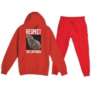 Respect The Capybara Premium Hooded Sweatsuit Set