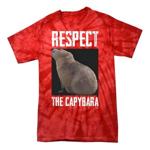 Respect The Capybara Tie-Dye T-Shirt