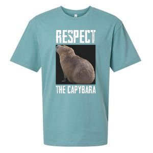 Respect The Capybara Sueded Cloud Jersey T-Shirt