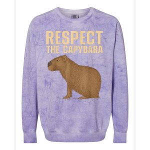 Respect The Capybara Funny Capybara Cavy Rodent Capybara Lover Colorblast Crewneck Sweatshirt