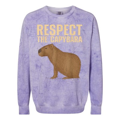 Respect The Capybara Funny Capybara Cavy Rodent Capybara Lover Colorblast Crewneck Sweatshirt