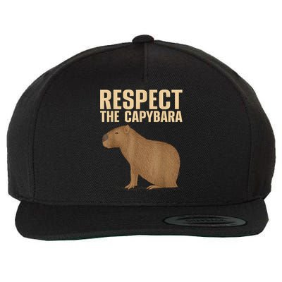 Respect The Capybara Funny Capybara Cavy Rodent Capybara Lover Wool Snapback Cap