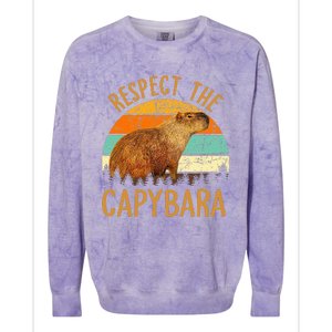 Respect The Capybara Animal Funny Capybara Lover Colorblast Crewneck Sweatshirt