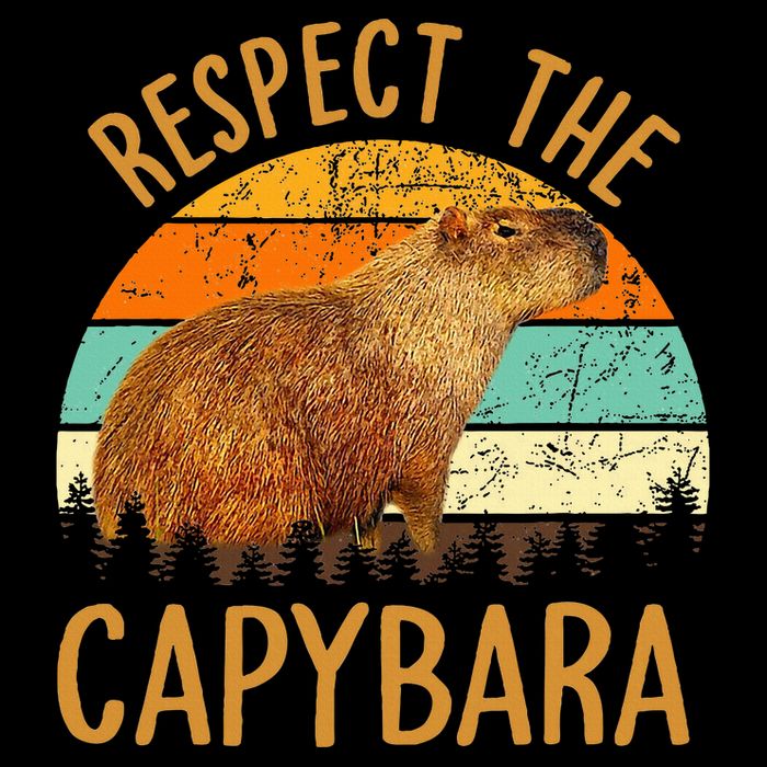 Respect The Capybara Animal Funny Capybara Lover Drawstring Bag