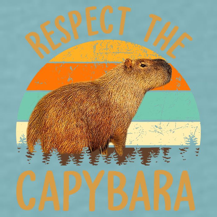 Respect The Capybara Animal Funny Capybara Lover Sueded Cloud Jersey T-Shirt