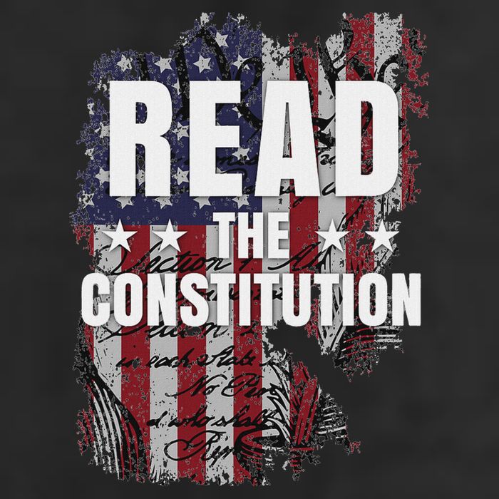 Read The Constitution ItS Bill Of Rights & Amendments 7 Panel Mesh Trucker Snapback Hat