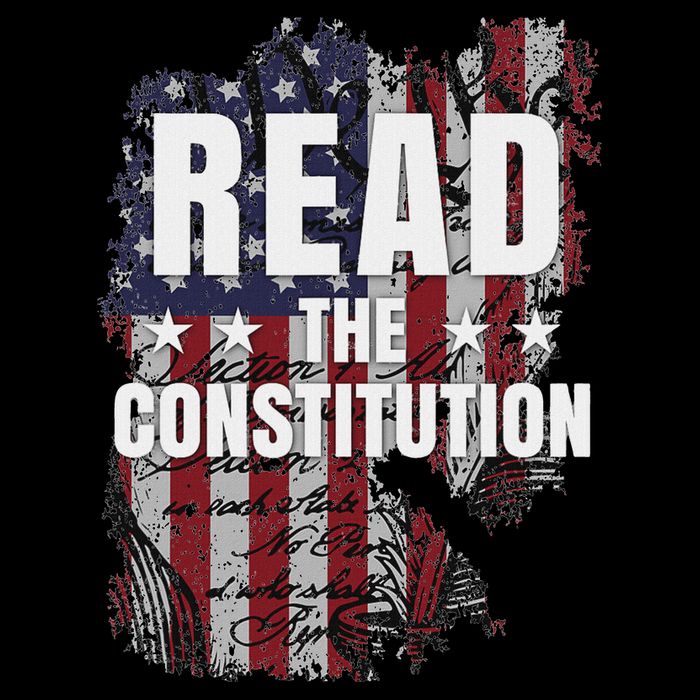 Read The Constitution ItS Bill Of Rights & Amendments Sustainable Bucket Hat