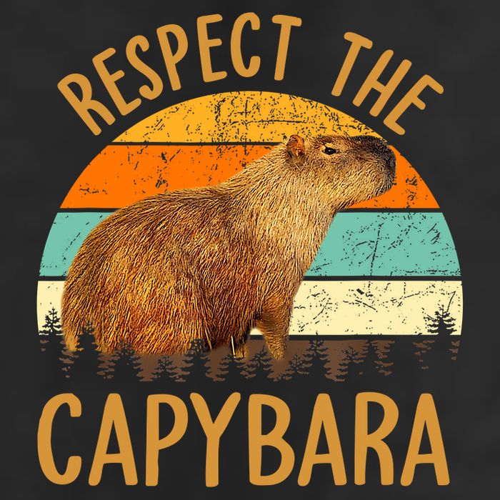 Respect The Capybara Animal Funny Capybara Lover 11oz C Handle Ceramic Mug