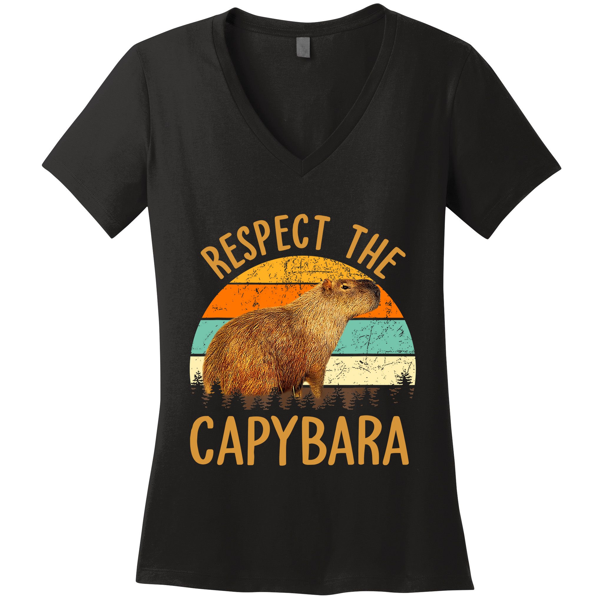 Respect The Capybara Animal Funny Capybara Lover Women's V-Neck T-Shirt