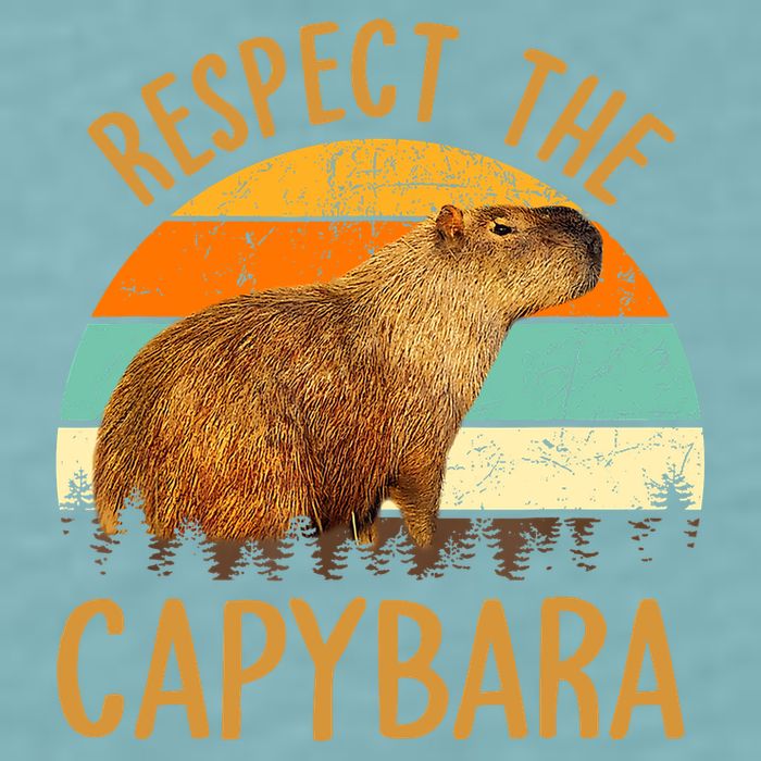 Respect The Capybara Animal Funny Capybara Lover Sueded Cloud Jersey T-Shirt